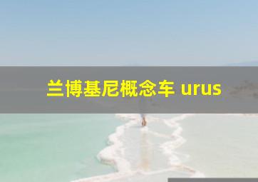 兰博基尼概念车 urus